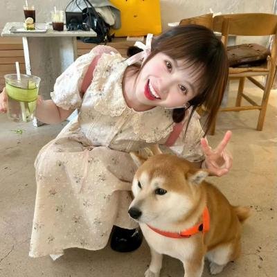副总统第三季